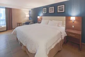 Hampton Inn by Hilton Monterrey/Galerías-Obispado - Chambre