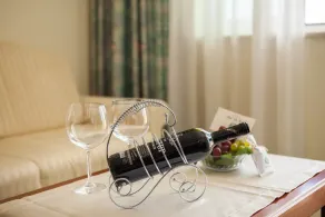Hotel Villa Bacchus - Habitación