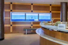 SpringHill Suites Durham Chapel Hill - Réception