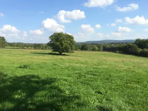 Domaine Le Rianon - Vistas desde la habitación