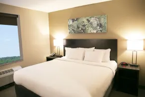 Berlin Encore Hotel & Suites - Room