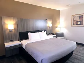 Quality Inn & Suites Longview Kelso - Chambre