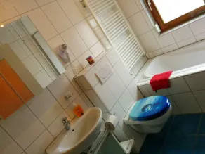 Europa Pension zum Grünen Baum - Salle de bain