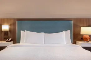 Hampton Inn Chicago Orland Park - Chambre