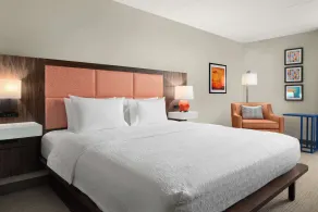 Hampton Inn Norfolk/Virginia Beach - Chambre
