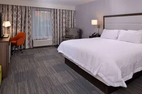 Hampton Inn & Suites Albany-East Greenbush - Rum
