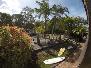 Cool Bananas Backpackers - View from room