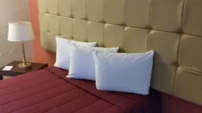 Coral by the Sea - Room