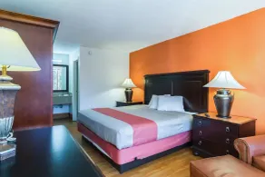 Motel 6-Townsend, GA - Værelse