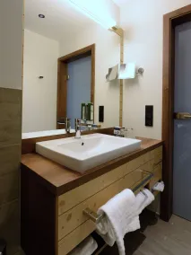 Hotel Schwarz Alm Zwettl  - Badeværelse