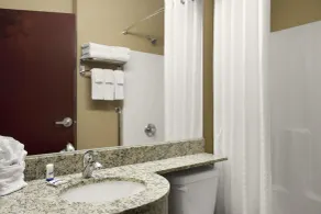 Microtel Inn and Suites Carrollton - Badezimmer