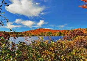 Mountain Lake Inn - Lac