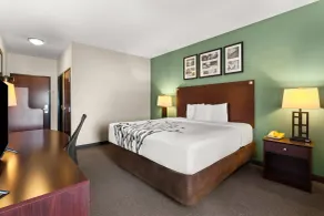 Sleep Inn & Suites Bush Intercontinental - IAH East - Room