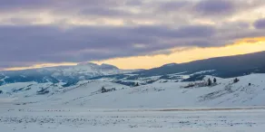 Elk Refuge Inn - Vue de la chambre