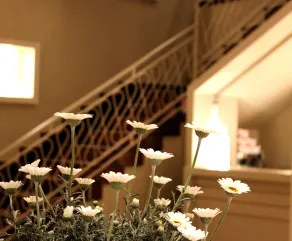 Astoria Hotel - Réception