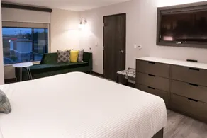 Cambria Hotel Shelby Township - Detroit Utica - Habitación
