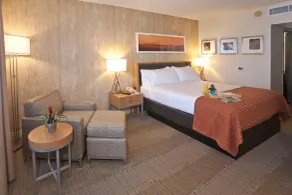 Holiday Inn Express San Francisco Airport South by IHG - Chambre