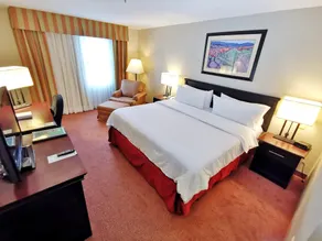 Holiday Inn Reynosa Zona Dorada by IHG - Chambre