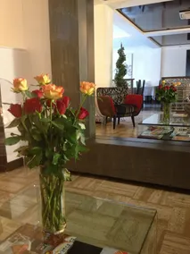 VICTORIA Hôtel - Recepción