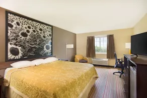 Super 8 by Wyndham New Hampton - Habitación