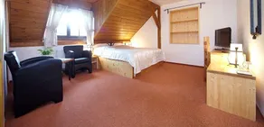 Wellness Hotel Holzberg - krytý relaxační bazén, dětský bazén, whirlpool, sauna, restaurace, bowling, venkovní hřiště, herna, pingpong, billiard - Room