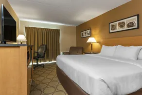Comfort Inn South - Chambre