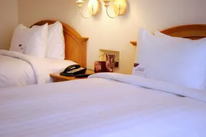Millennium Downtown - Chambre