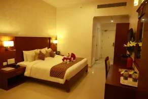 Hotel DSF Grand Plaza - Room