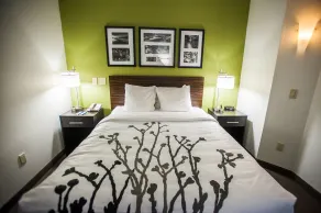 Sleep Inn Midland - Bay City West - Chambre