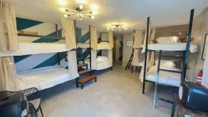 The Surfing Turtle - Room