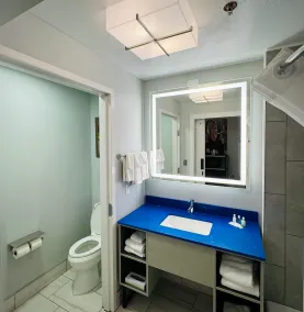 The Walden, Trademark Collection By Wyndham - Salle de bain