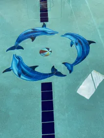 Baymont by Wyndham Pella - Piscine
