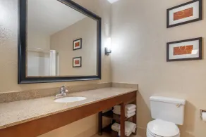 Comfort Suites McKinney-Allen - Salle de bain