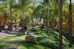 Zar Colima - View from room