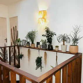 Guest House Folk Inn - Reception