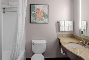 Hilton Garden Inn Sarasota - Bradenton Airport - Salle de bain