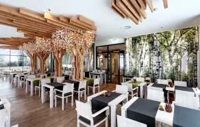 Panorama Hotel Aschberg - Restaurante