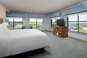 Hampton Inn Baltimore-Downtown-Convention Center - Vue de la chambre