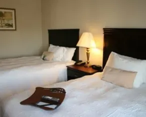 Hampton Inn & Suites Galveston - Chambre