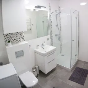Apartament F&J - Badrum