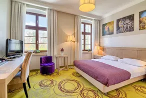 Hanza Pałac Wellness & SPA - Room