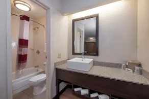 Red Roof Inn Washington DC-Lanham - Bagno