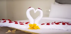 Starling River Resort - Room