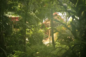Tropical Bliss bed and breakfast - Reception