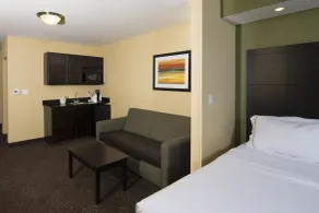 Holiday Inn Express and Suites Detroit North-Troy by IHG - Chambre