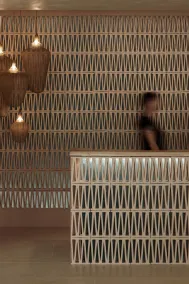 Asty Mykonos Hotel & Spa - World of One Hotel Group - Réception