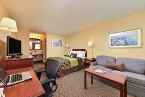 Americas Best Value Inn San Jose Convention Center - Chambre