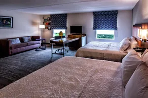Hampton Inn & Suites Staten Island - Camera