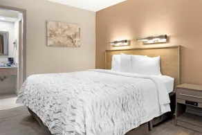Red Roof Inn Bowling Green - Chambre