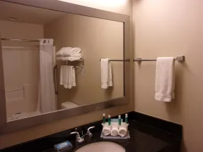 Holiday Inn Express Hotel & Suites Chicago West Roselle by IHG - Baño